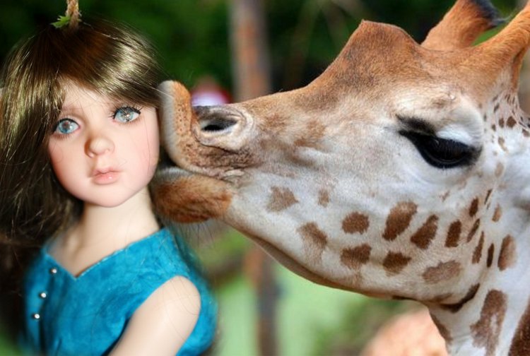 Зарисовки с Розой Аделиной