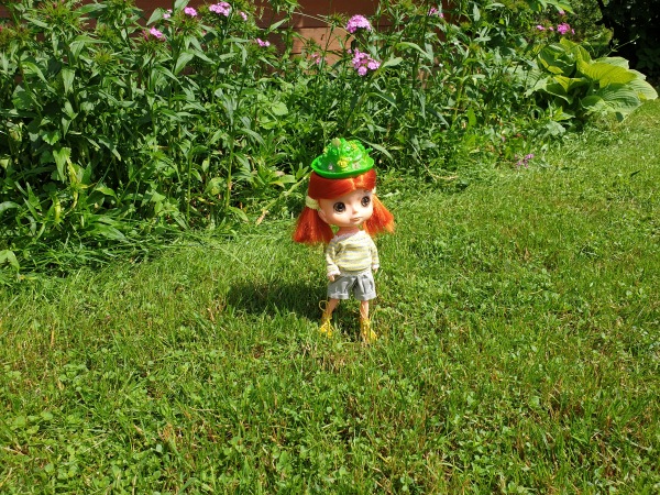 Раз камарик, два камарик — Игровые куклы разных производителей (Разное): редкие бренды (фото 9)