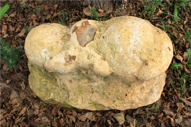 Сентябрьское путешествие в Старицу, заключительная часть