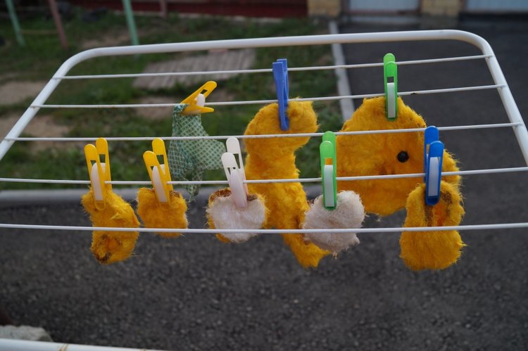 Ура! Суббота! Выписка куколок