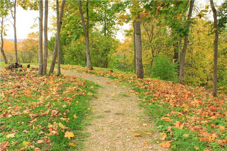 Золотая Осень в Берново с Имани. Mini Imani от Kaye Wiggs