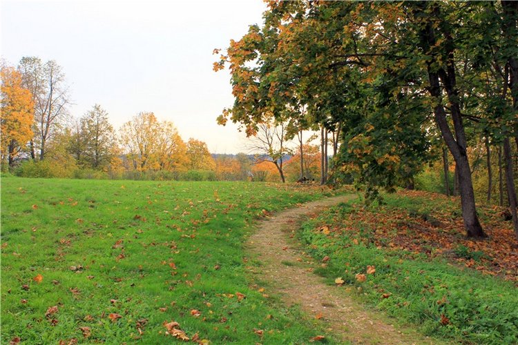 Золотая Осень в Берново с Имани. Mini Imani от Kaye Wiggs