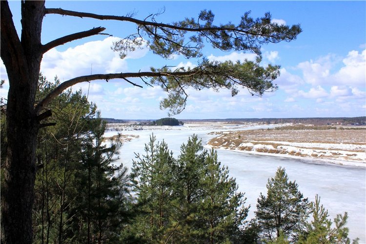 Весна в "Саду Камней" | Бэйбики Весна в "Саду Камней" — Куклы Meadow dolls (Медовушки): BJD (БЖД) (фото 4)