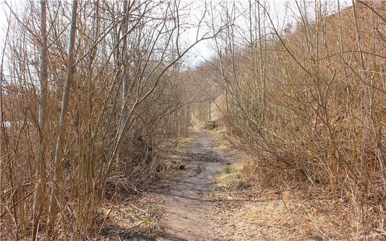 Имани и Водопад — Куклы Kaye Wiggs (Кайе Виггс): авторские BJD (БЖД)