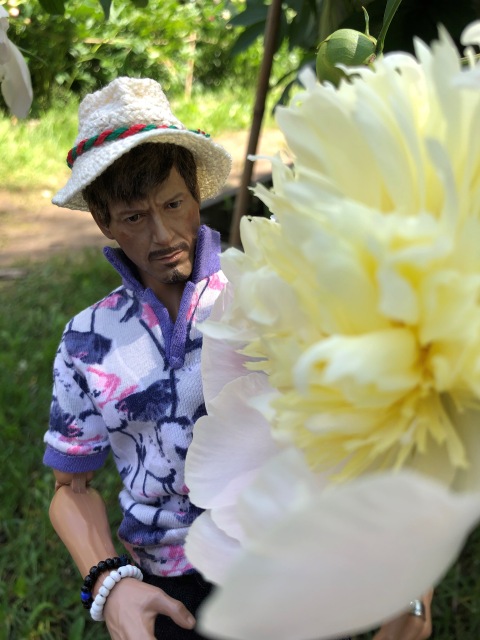 Тони Старк: приключения без брони. И снова Аптекарский огород | Бэйбики Тони Старк: приключения без брони. И снова Аптекарский огород