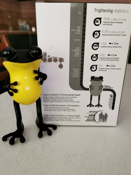 Лягушки Apo Frog от Twelvedot (фото 2)