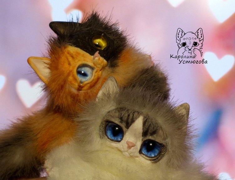 Необыкновенные котики породы: Охос азулес и Химера (фото 2)