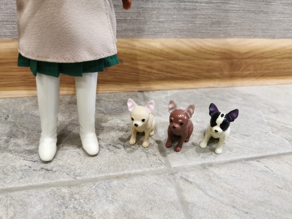 Кто такие Jecci five | Бэйбики Кто такие Jecci five — Куклы Blythe TBL (ТБЛ) и аналоги: Блюх