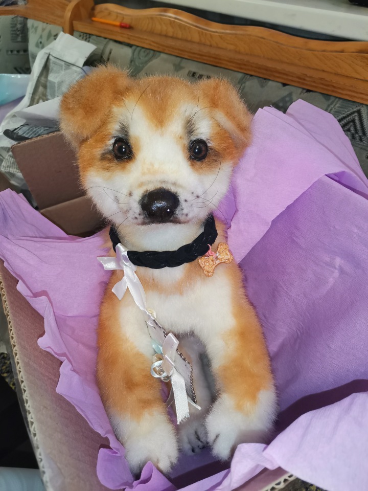 Акито щенок — Игрушки в смешанной технике (мех и глина): Арт (фото 3)