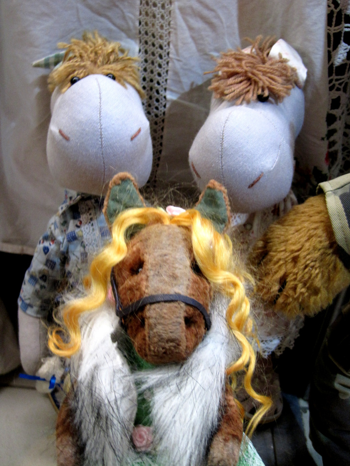 Лошадка Света. Знакомство (фото 7)