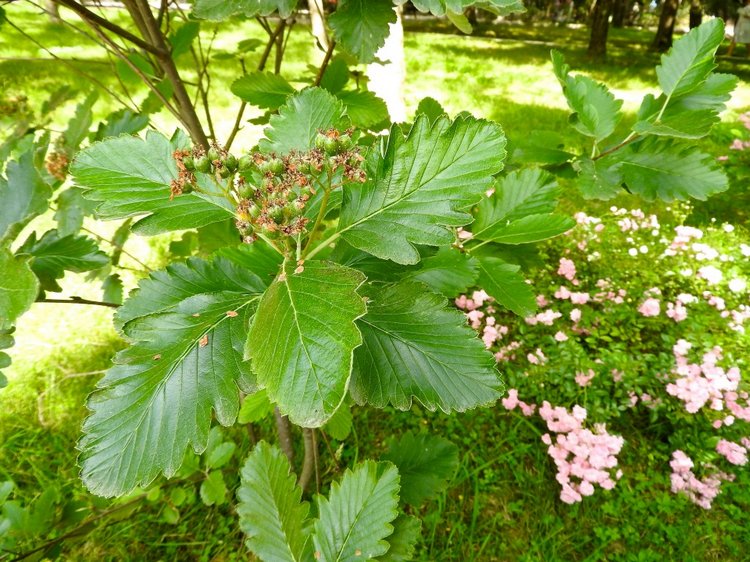 Краснодарский Край, Сочи-Адлер, Санаторий «Южное Взморье»