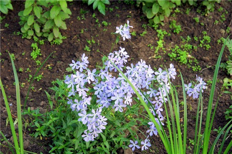 Я ехал к Вам! Пушкинский праздник в Берново, 2018 год