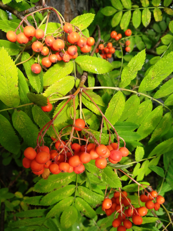 Тайна моего имени. Часть вторая. Надо быть похожей на саму себя (фото 4)