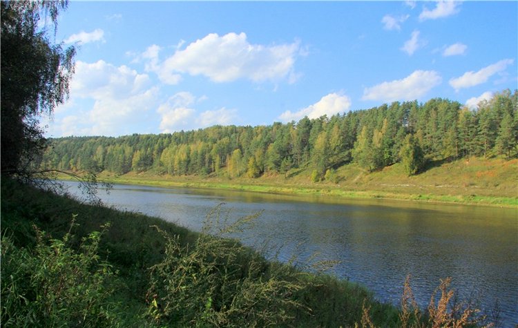 Нийя. Воспоминание об осени, Чукавино, Эко-Лэнд