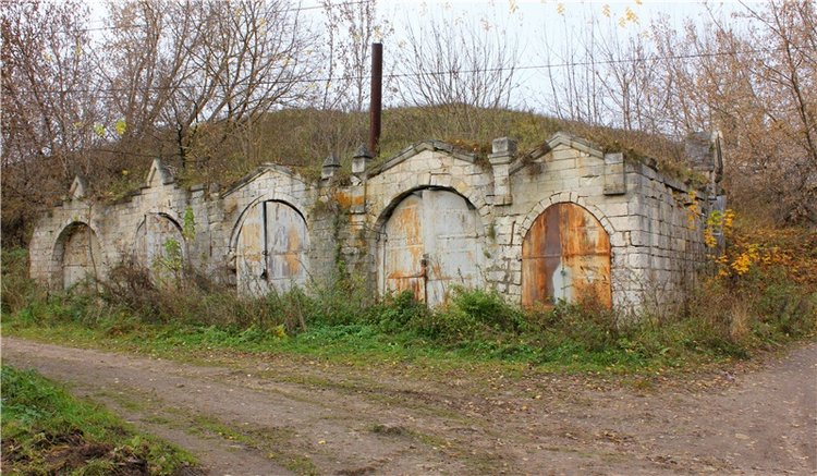 Осеннее путешествие с Мишей. Zwergnase Mischa | Бэйбики Осеннее путешествие с Мишей. Zwergnase Mischa