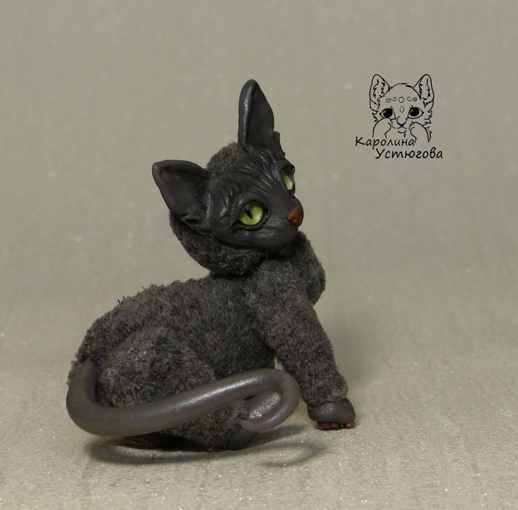 Миниатюрные серые Сфинксы (фото 10)