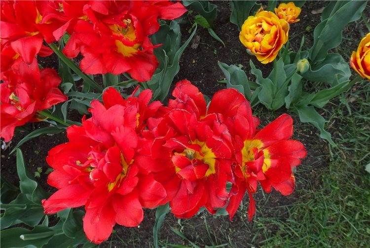 Милый мой город. Прогулка по Твери, продолжение