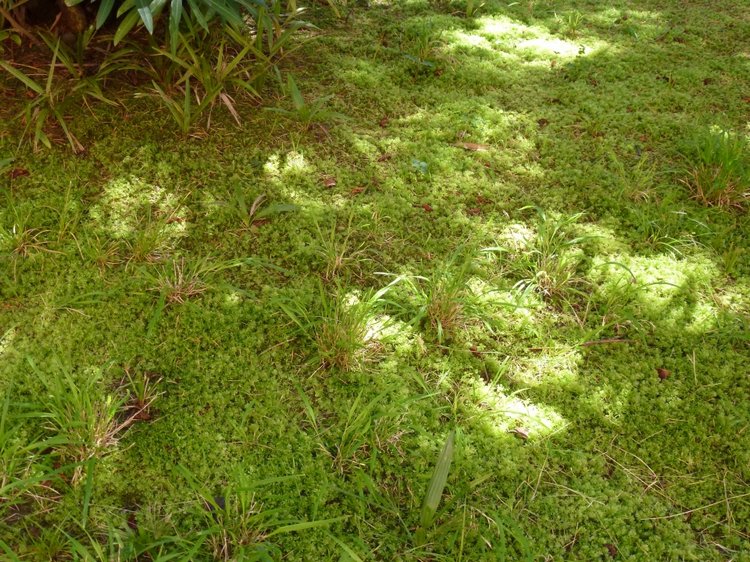 Сочи-Адлер: Южное Взморье - виртуальное путешествие по территории санатория