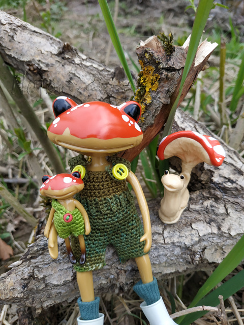 Wonderfrog. Красота в простоте (фото 9)