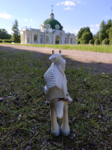 Wonderfrog. Красота в простоте