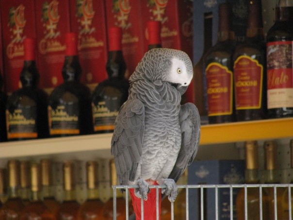 Путешествие на о. Кипр — Туризм и путешествия: фотоотчеты из поездок