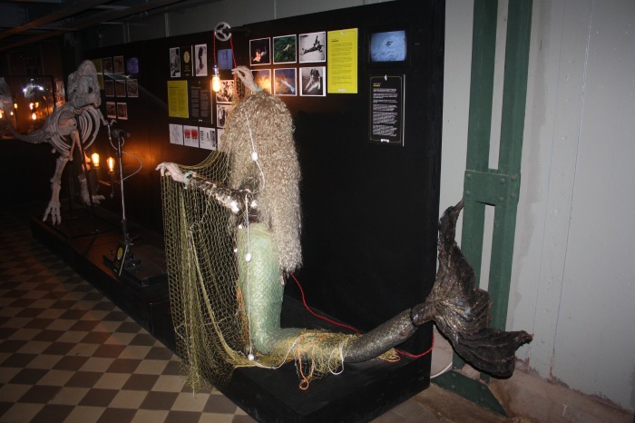 Петербург. Музей НЕправды (18+). Часть 2