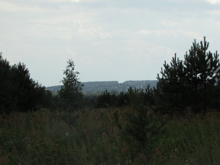 Путешествие в Нижегородскую область - часть 2 - Размещение в деревушке и прогулка по окресностям