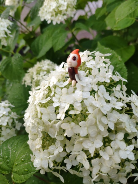 Лето с лягушками — Коллекционные куклы разных авторов (Разное): редкие бренды
