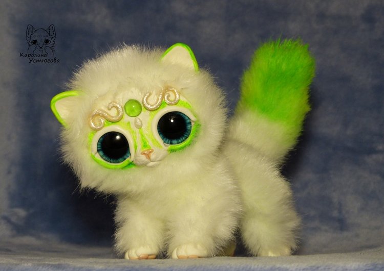 Королевские волшебные коты, породы: Мирис. В кадре и за кадром. Процесс