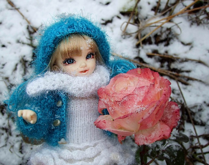 Утром кот принёс на лапах первый снег (фото 6)