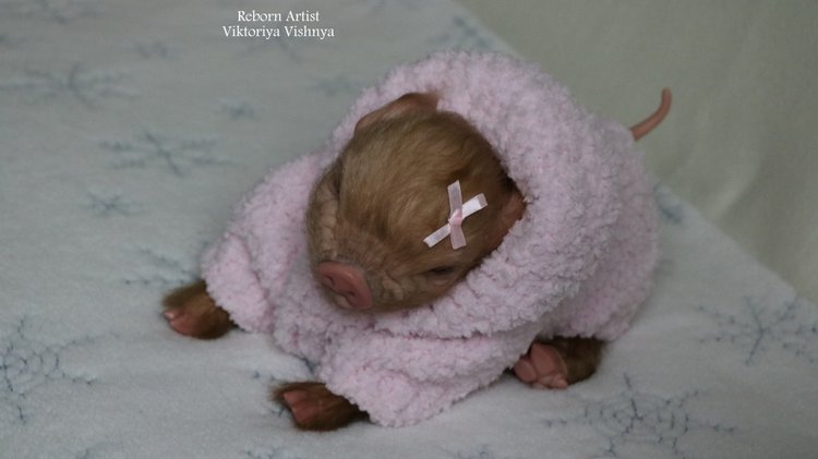Поросенок Мила... куколка реборн Виктории Вишни