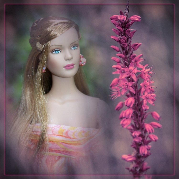 Мои Тоннерки. Фотозарисовки