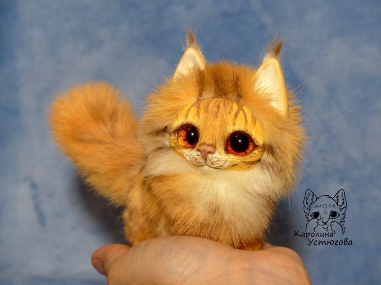 Карманный котеночек породы: Мейн-Кун (фото 2)