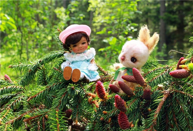 Ландышевый Лес. Twinkles Ella Chocolate