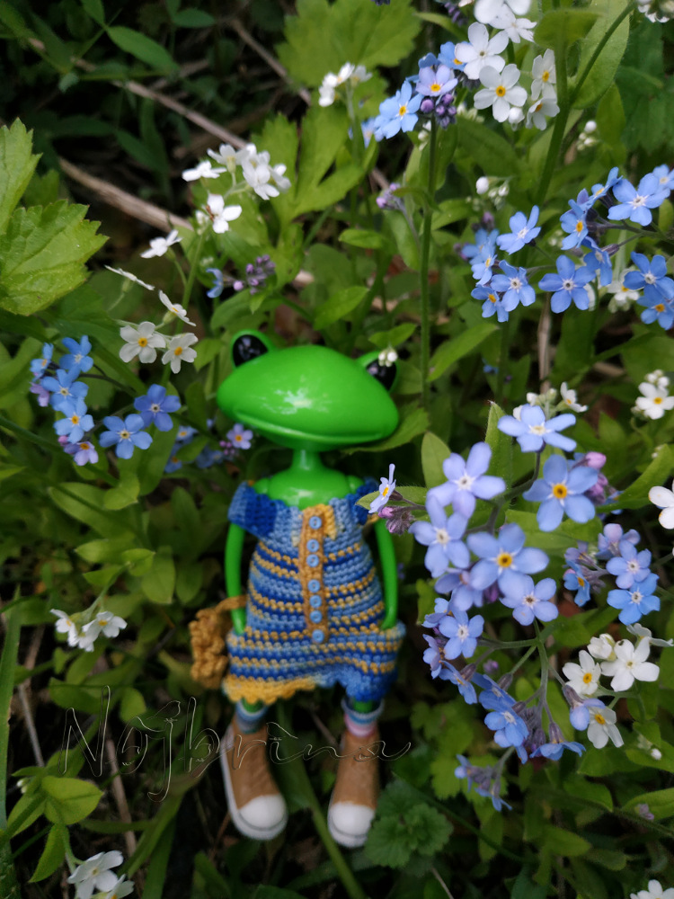 Миссис Бэйбики. Царевна - лягушка. Визитная карточка