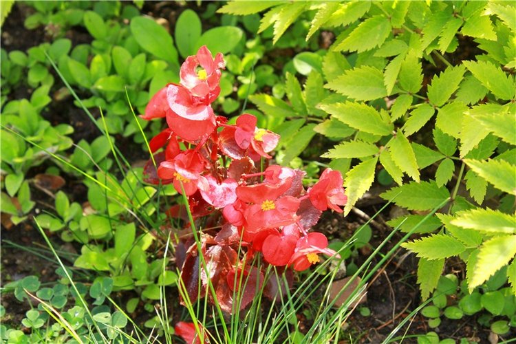 Сентябрьское путешествие в Старицу. Старицкий Свято-Успенский Монастырь