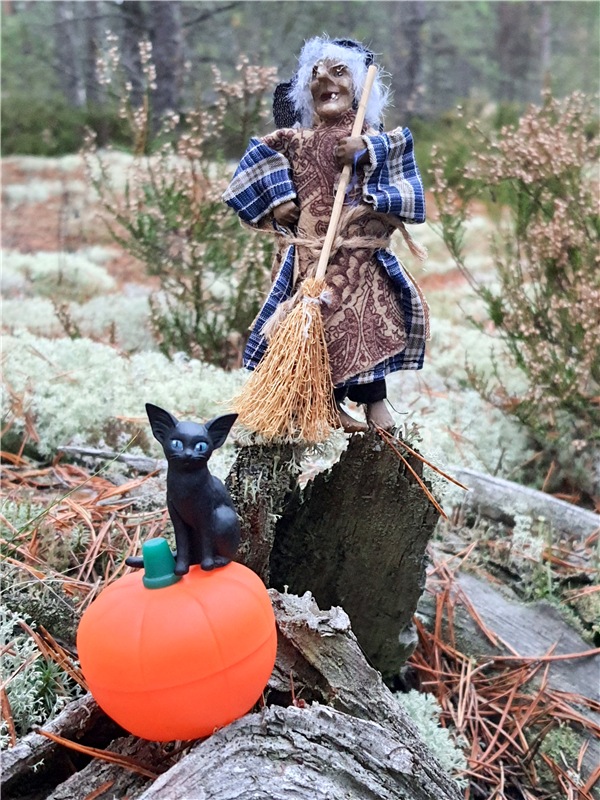 Сказка Оршинского Леса | Бэйбики Сказка Оршинского Леса — Куклы Meadow dolls (Медовушки): BJD (БЖД) (фото 6)