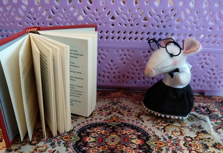 Когда не понятно Он или Она (фото 4)