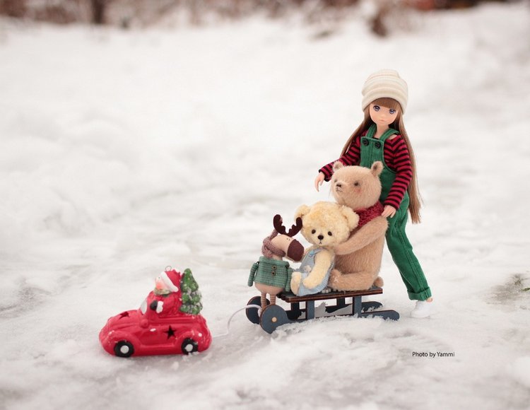 Новогодние каникулы в деревне