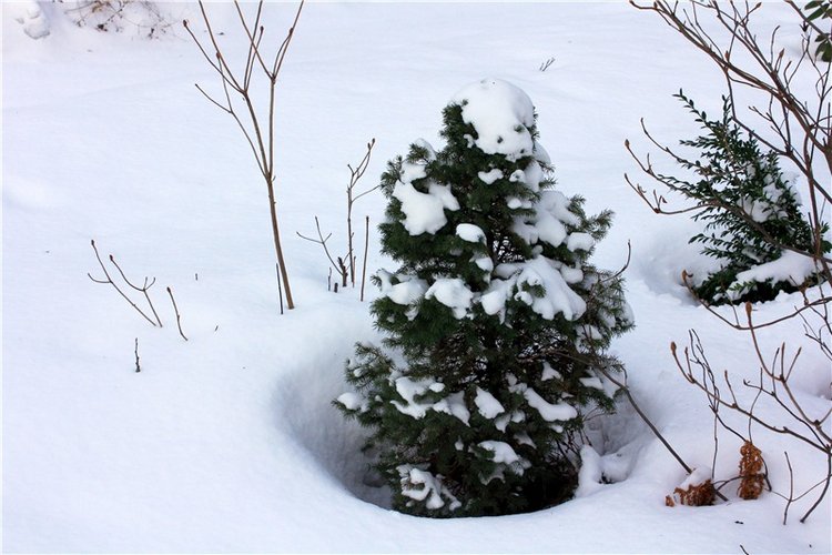 Тверской Ботанический Сад, заключительная часть