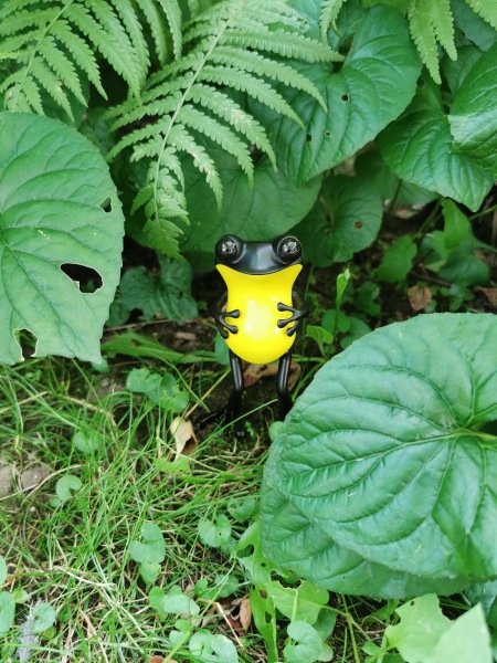 Лягушки Apo Frog от Twelvedot