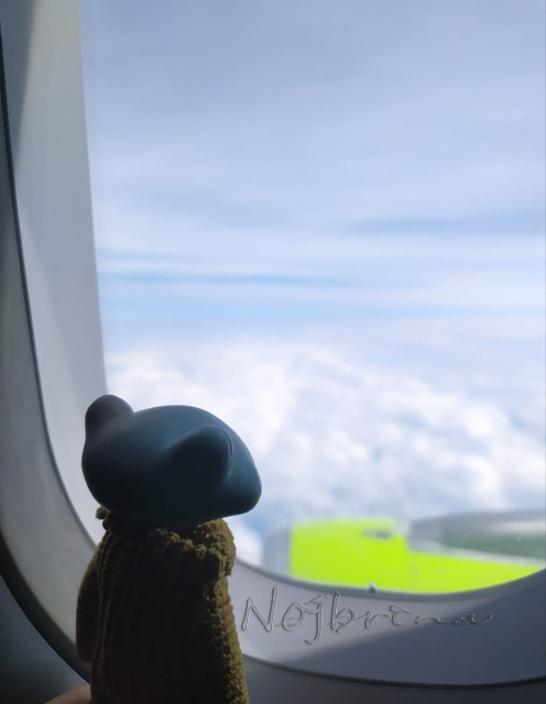 Большое путешествие Кензо. Арктика. Северный полюс (фото 5)