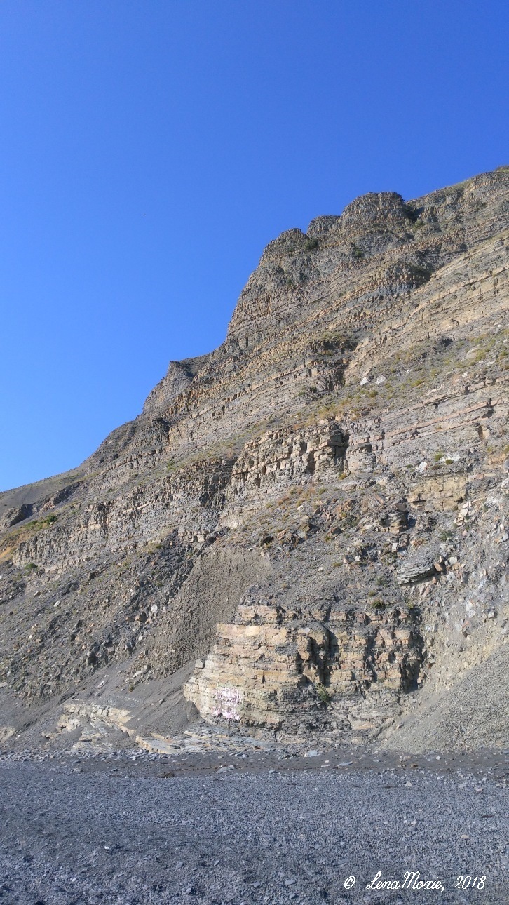 Kidz' тур. Юлино лето — Куклы Kidz'n'Cats (Соня Хартман): шарнирные 46 см