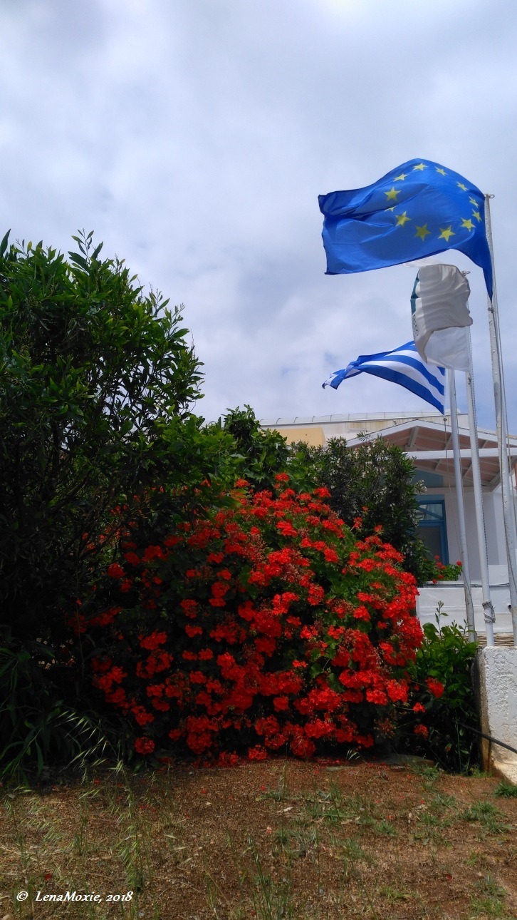 Kidz' тур. Нико на Крите. Аниссарас