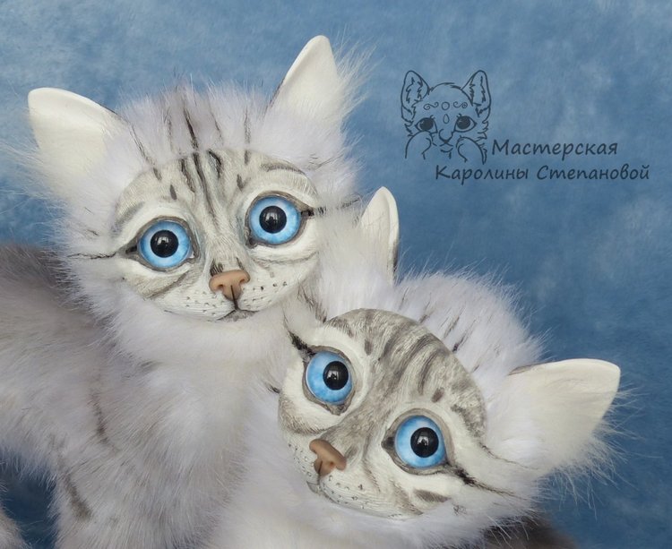 Невские Маскарадные коты серебристого окраса и Совята (фото 2)