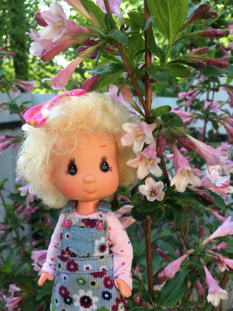 Поездка на дачу с Mui-chan, Migliorati и Sonny angel (фото 7)