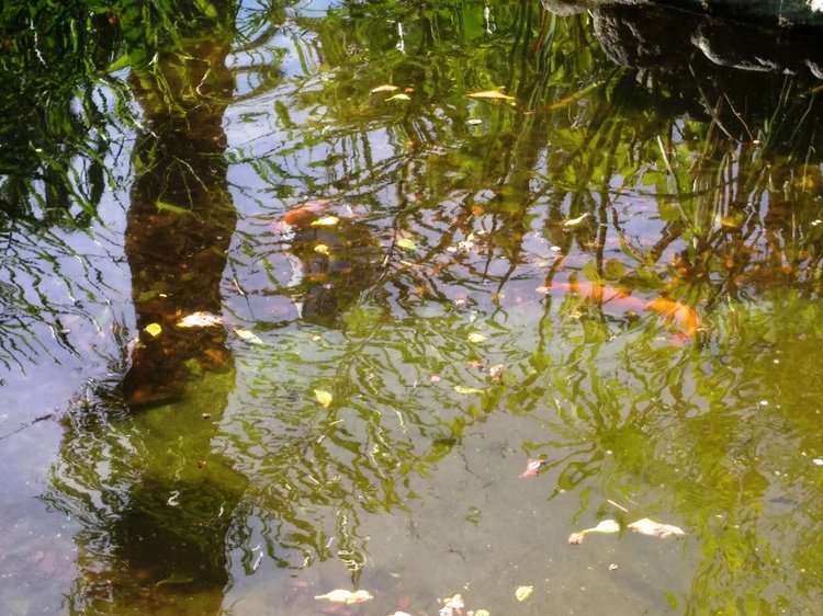 Тайна моего имени. Часть девятая. Испания, Бенальмадена, Парк Тиволи. Лесли путает все планы