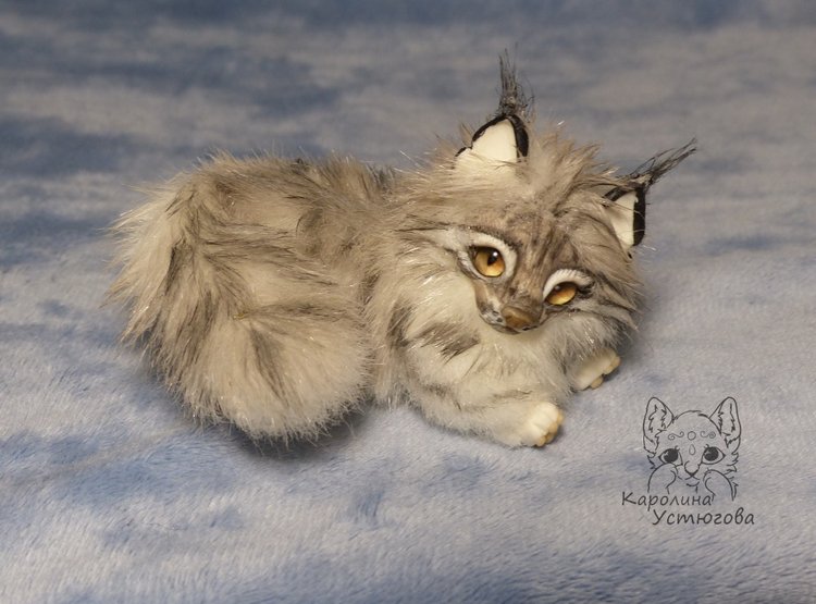 Мейн-ку́н, миниатюра. Серебристый окрас