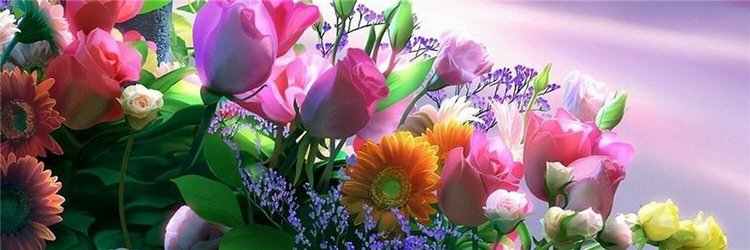 Cecelie от Heidi Plusczok (фото 4)