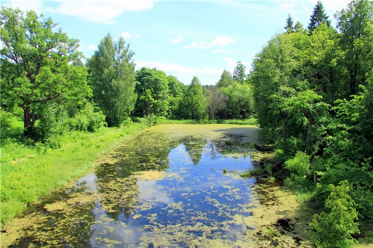 "Троицкие гуляния" в Василёво, 2018 год. Архитектурно-этнографический музей под открытым небом Василёво